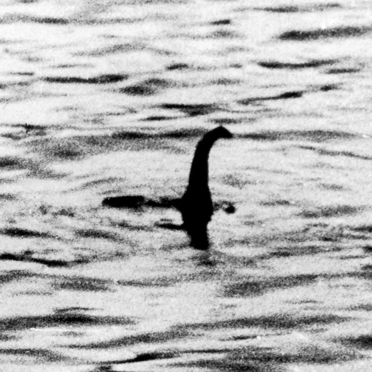 Nessie,jpg