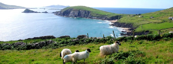 Der Dingle Way in Irland