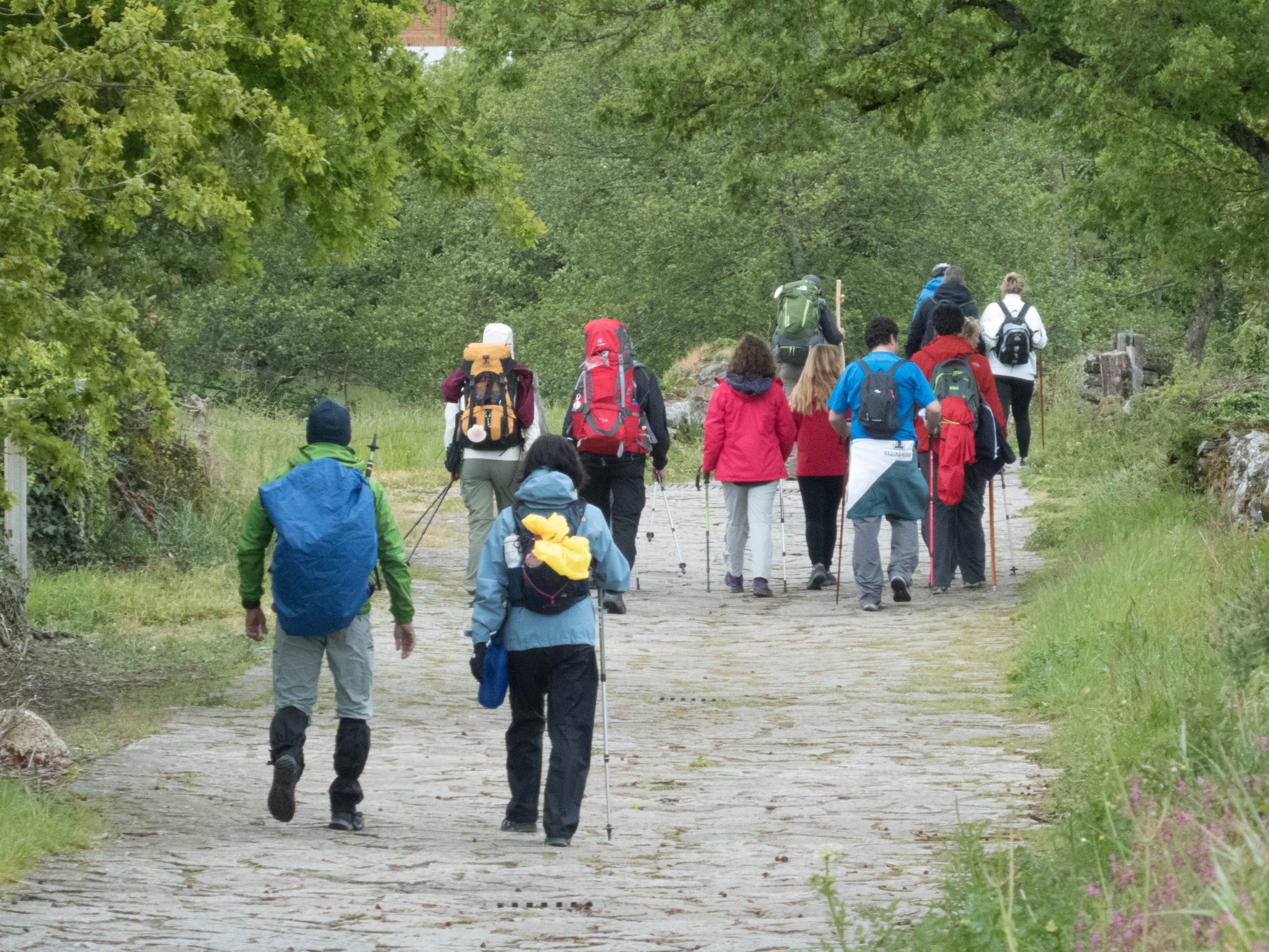 Pilger auf dem Jakobsweg - einsam ist man auf dem Camino selten