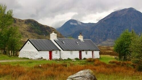 All You Need To Know About Highland Cattle - Hillwalk Tours Self-Guided  Hiking Tours