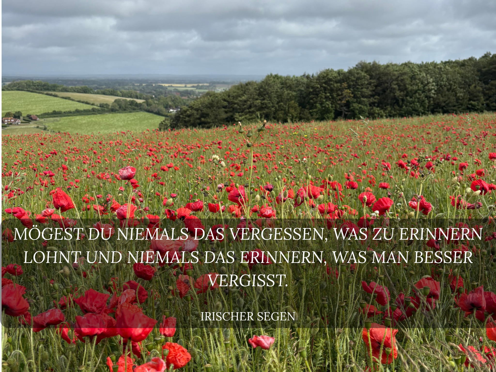 mÖgest du niemals das vergessen, was zu erinnern lohnt und niemals das erinnern, was man besser vergisst.