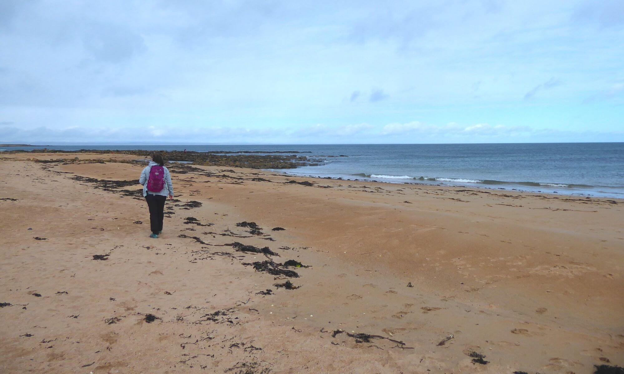 Hiking in Scotland 6 Day Fife Walking Companies St Andrews Walking Tours