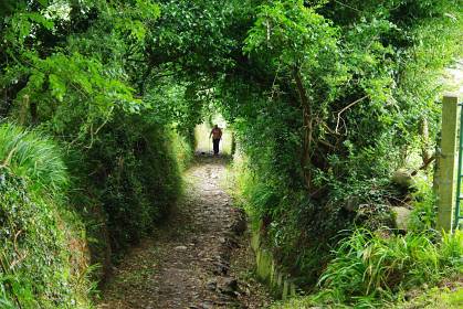 Kerry Camino