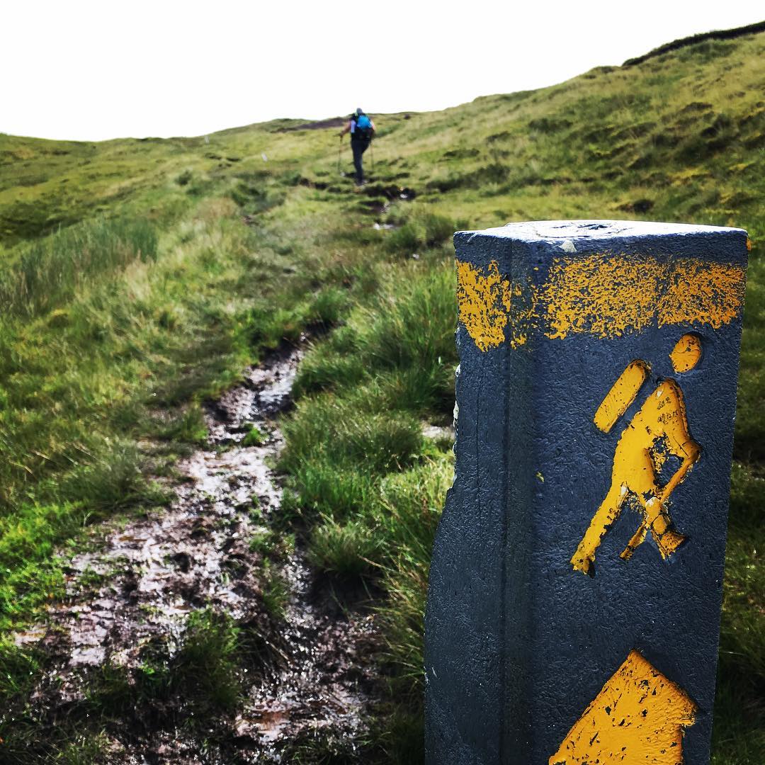 Une balise sur le sentier du Kerry Camino