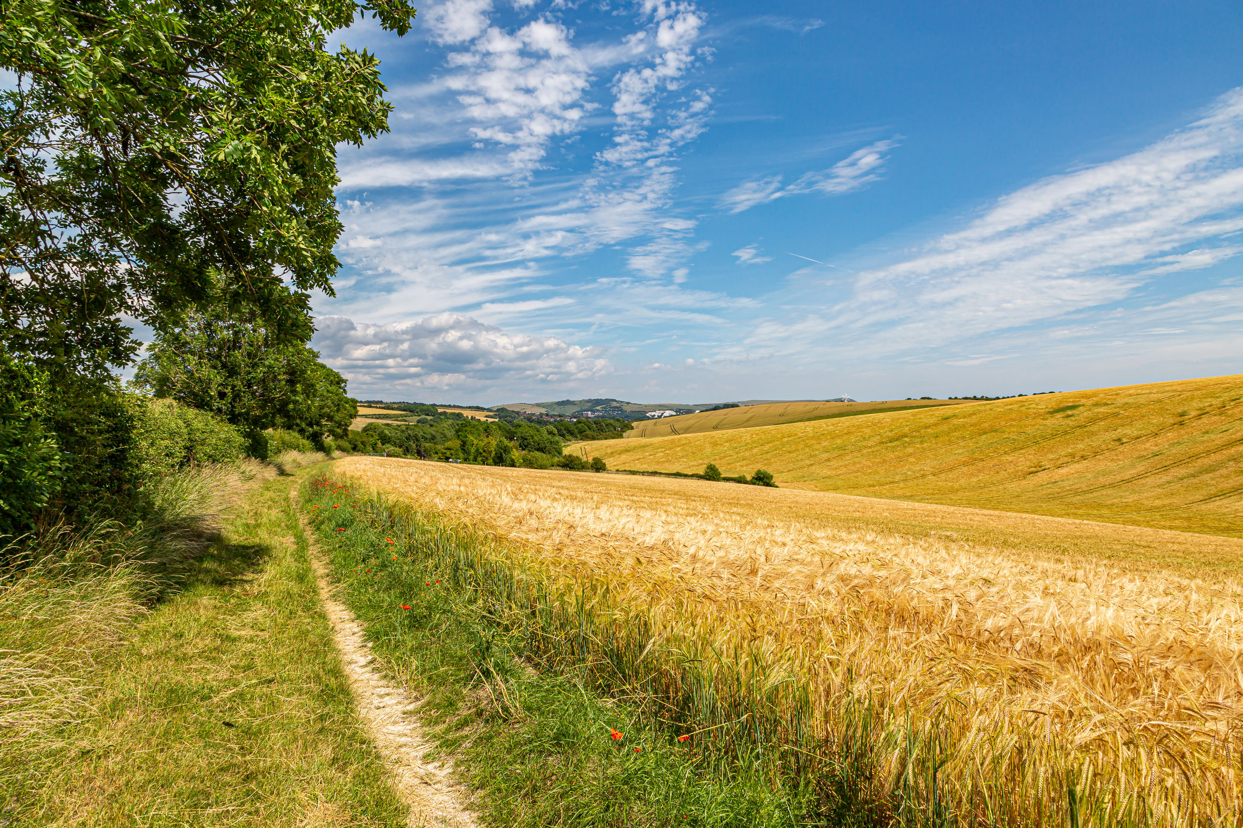 Le sentier du South Downs Way le long des terres agricoles