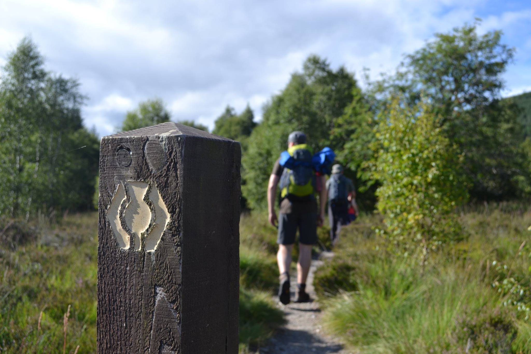 Balisage sur la West Highland Way