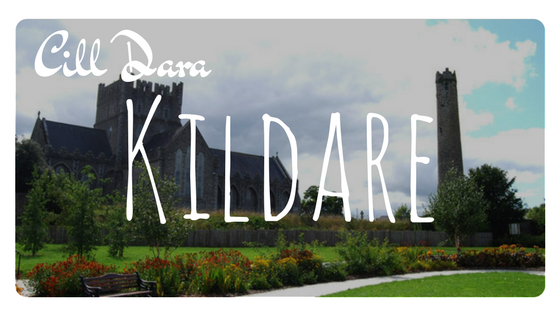 Irish Counties - Kildare