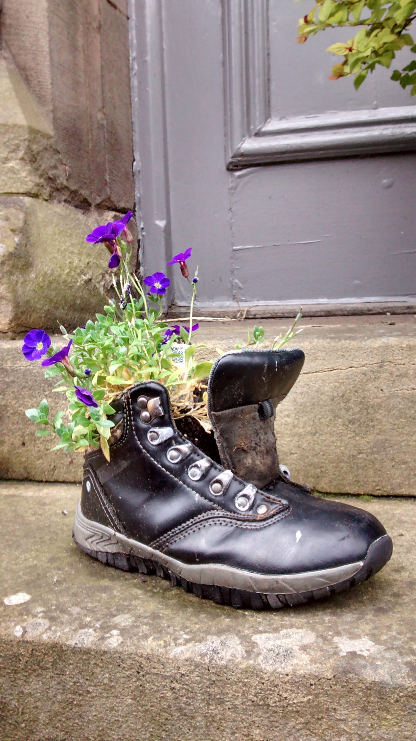 Hiking Boots