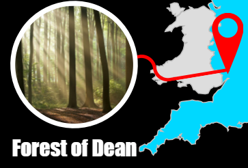 Filmlocatie - Forest of Dean