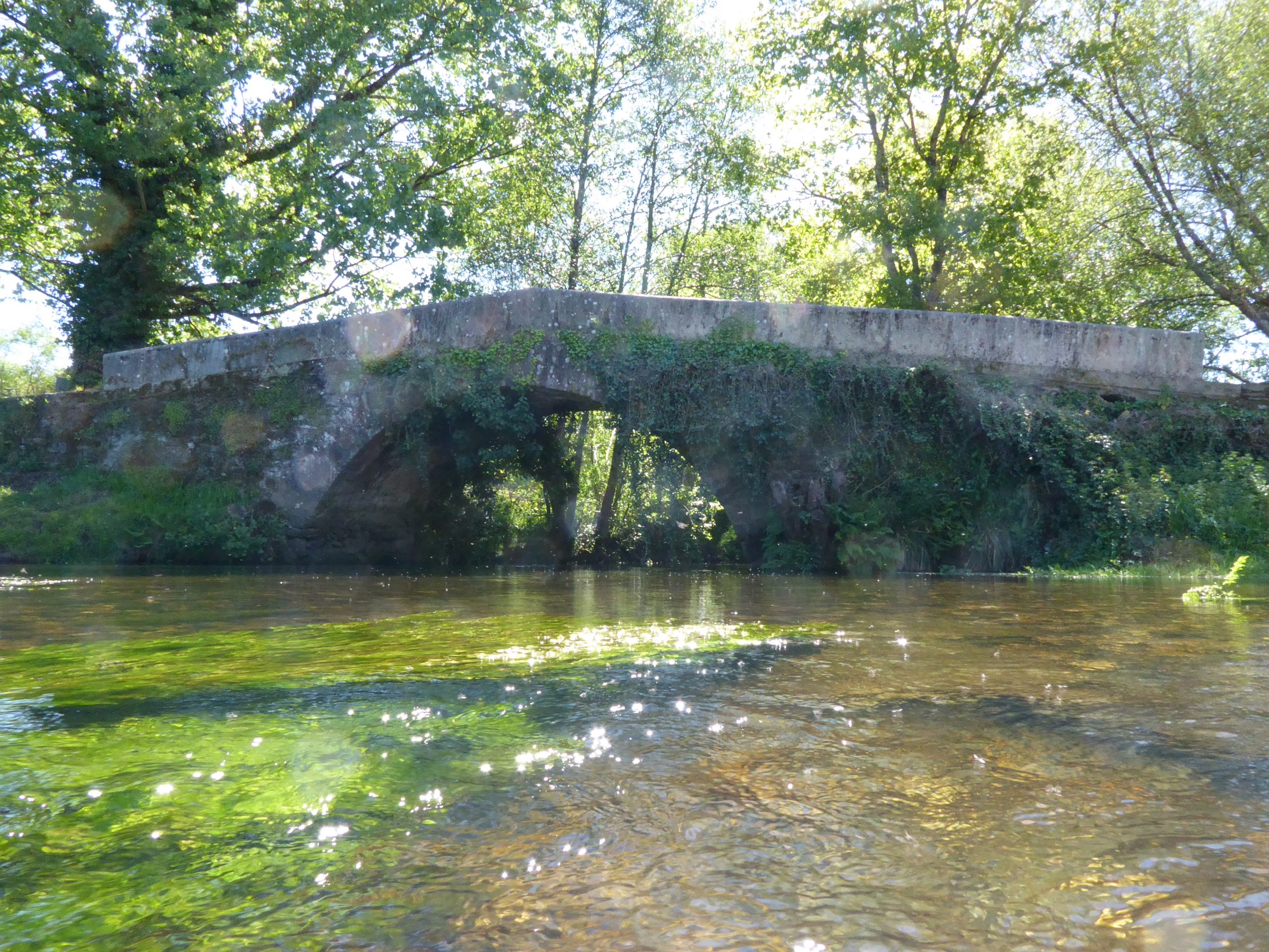 Melide-Arzua-Hillwalk-Tours
