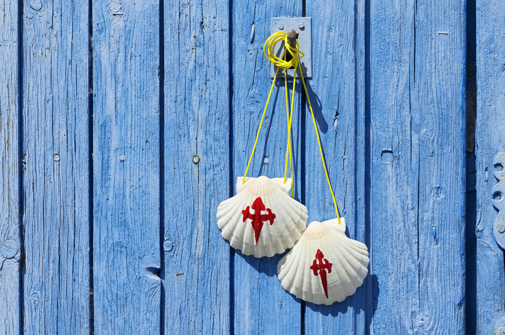 Scallop Shell hanging on a door