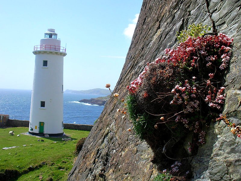Lighthouse on the Beara Way