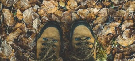 Hiking boots on leaves
