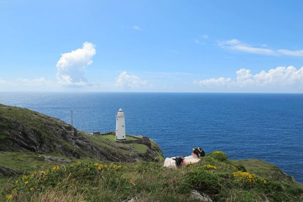 Beara Way Hillwalk Tours Ltd.