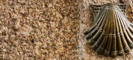 Scallop Shell of El Camino de Santiago