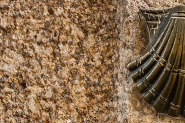 Scallop Shell of El Camino de Santiago