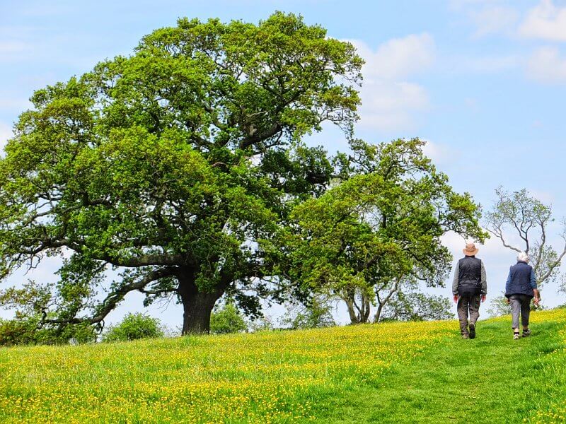 Wandern auf dem Cotswold Way in England