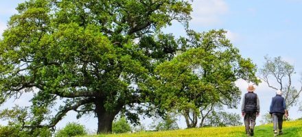 Walking the Cotswold Way