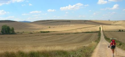 Spring weather on the Camino