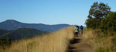 Summer weather on the Camino