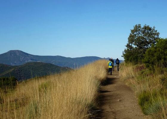 Summer weather on the Camino