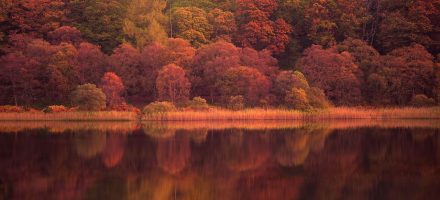 Autumn hiking in Wicklow