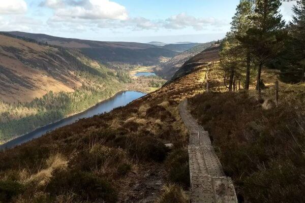 Wicklow - The Spinc