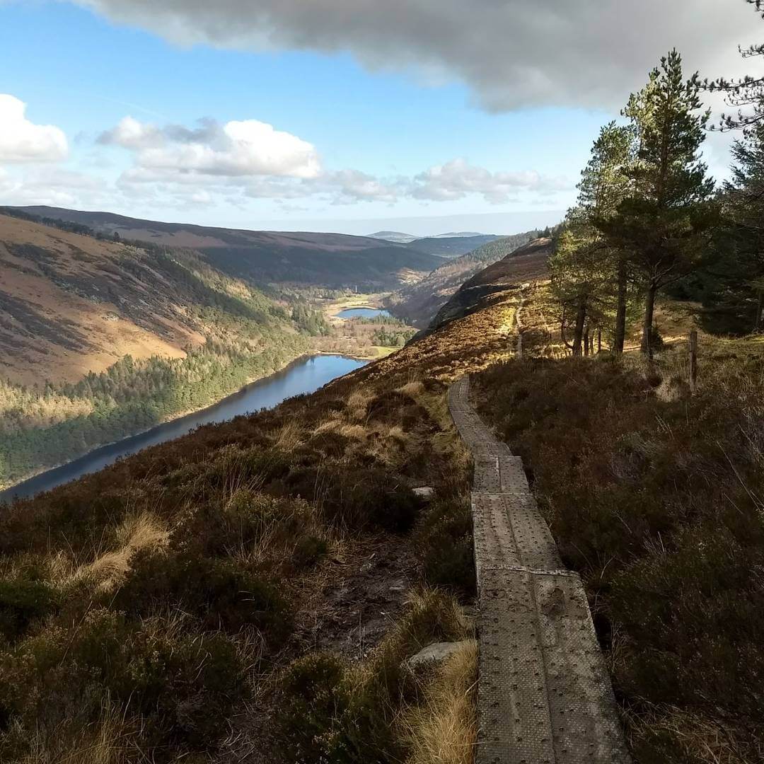 Wicklow - The Spinc