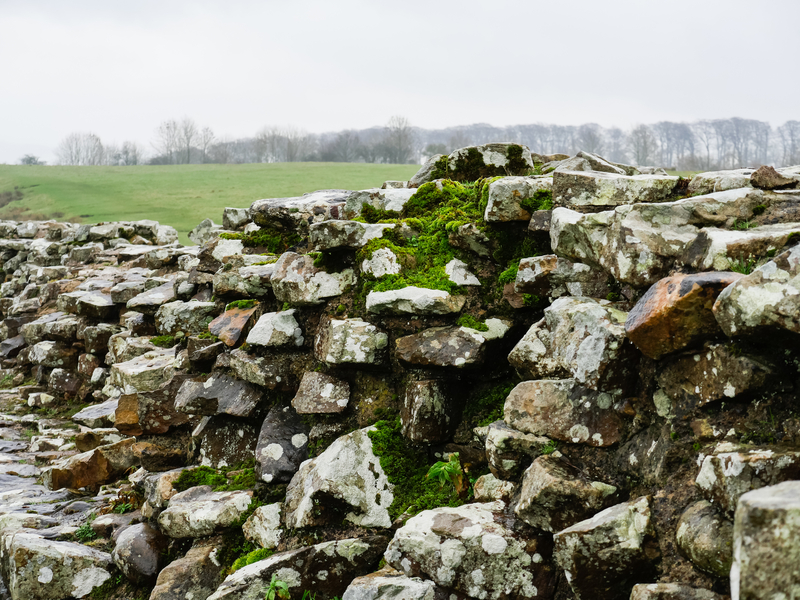 Hadrian's Wall near Birdoswald.