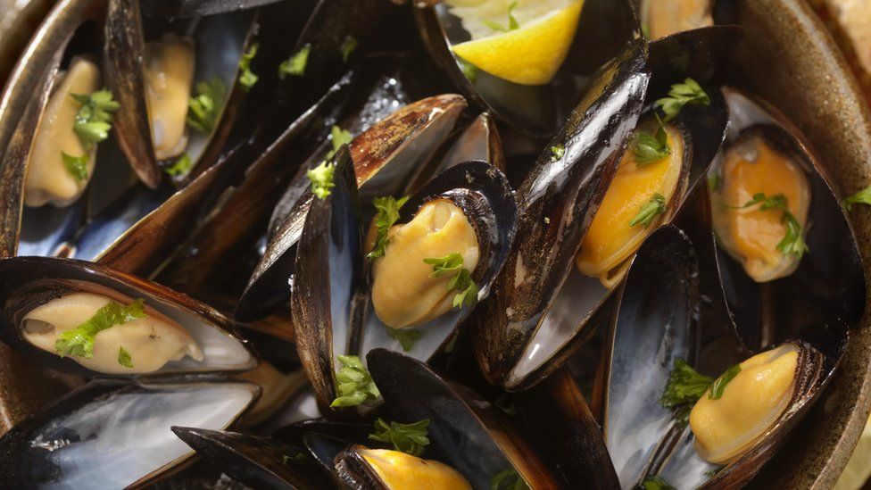 conwy mussles source BBC