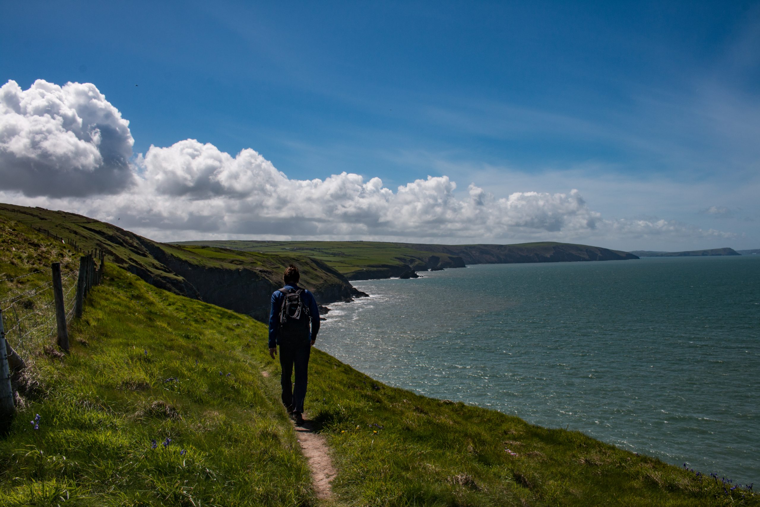 Walker on the Pembrokeshire Coast Path