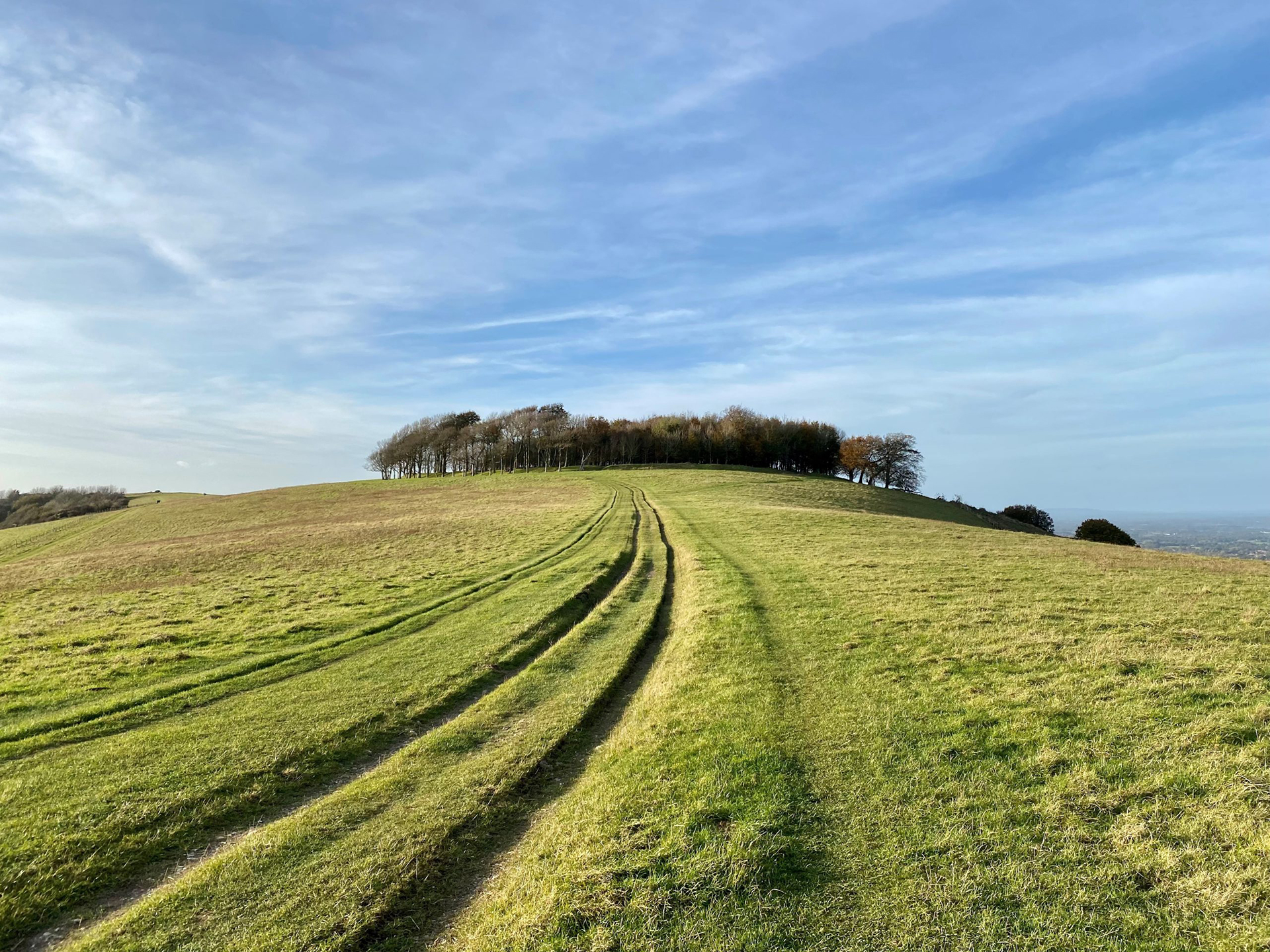 Chanctonbury Ring - Source: Discover Sussex