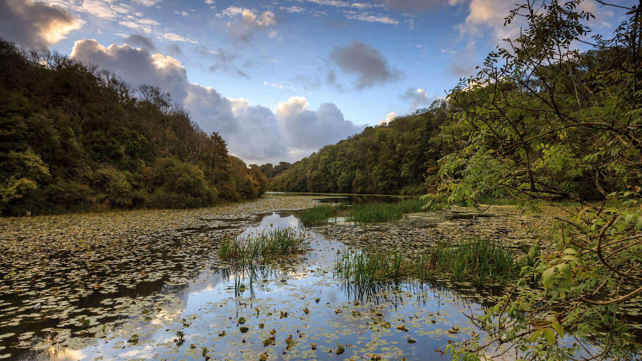 The Ultimate Guide to Hiking the Pembrokeshire Coast Path - Hillwalk Tours