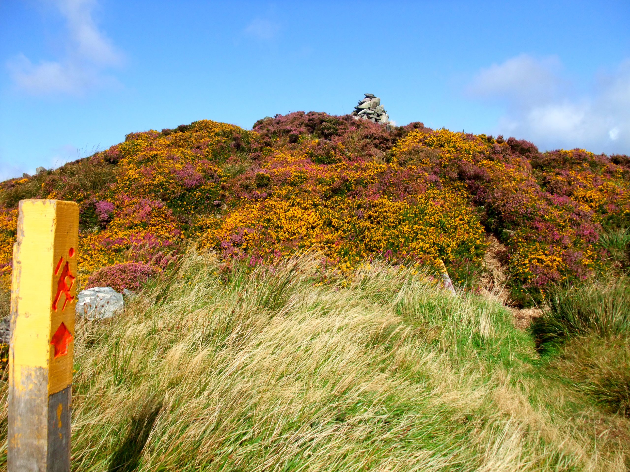 tomb path to caher mountain, Sheep's Head Way