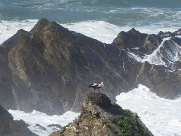 Rota Vicentina (Fishermen’s Trail)