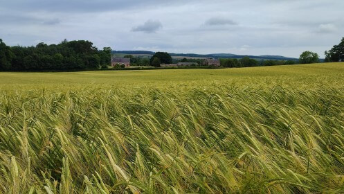 St Cuthbert’s Way
