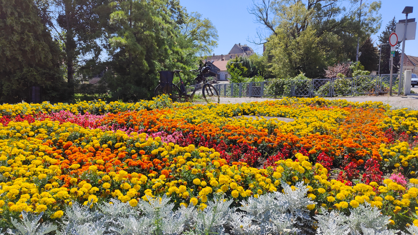 daunbe cycle path tour img 6