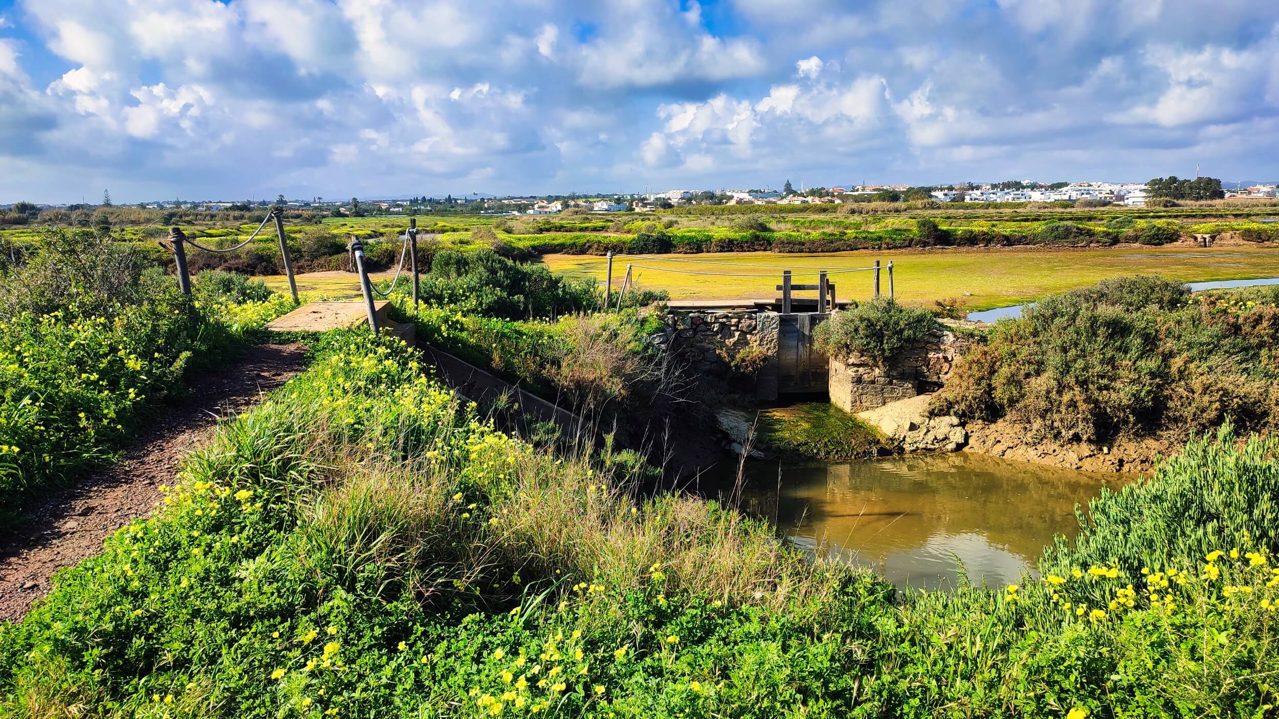 greenery paths near lagoons tavira rtpd img 20250219 150223