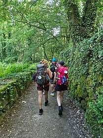 Camino Portuguese (Traditional Central Route)