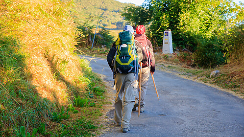 Camino Primitivo