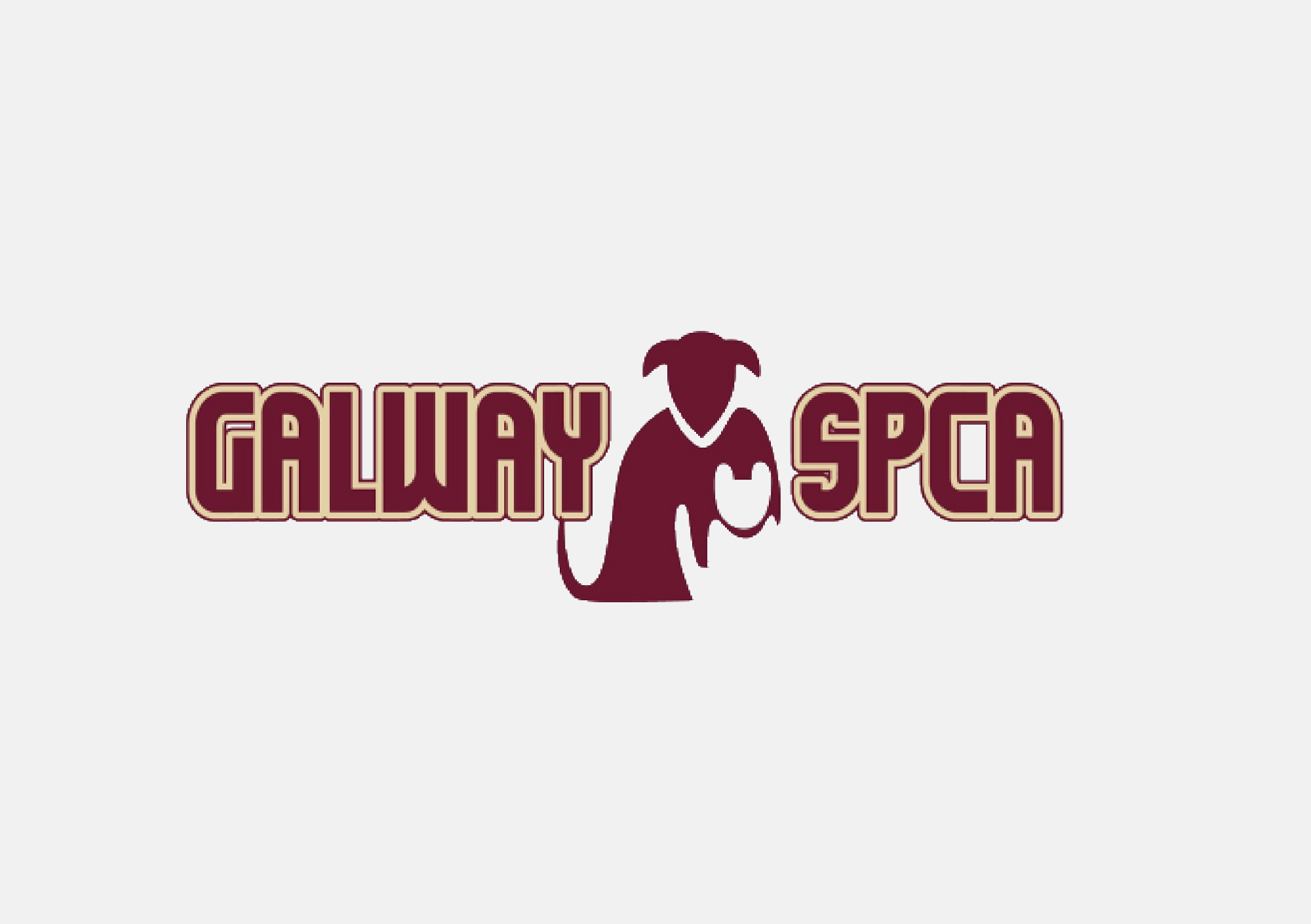 galway spca