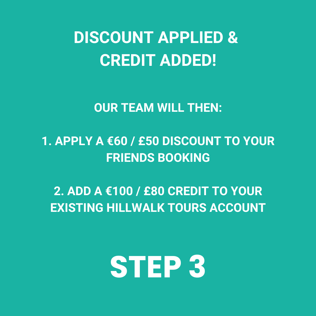 referral program images