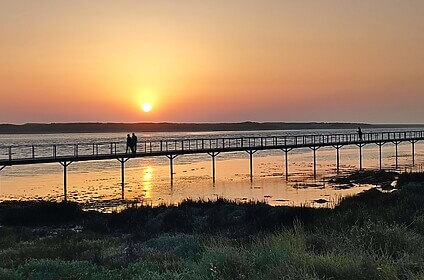 Camino Portuguese (Coastal Route)