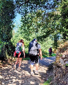 Costa Verde & Minho River Trails