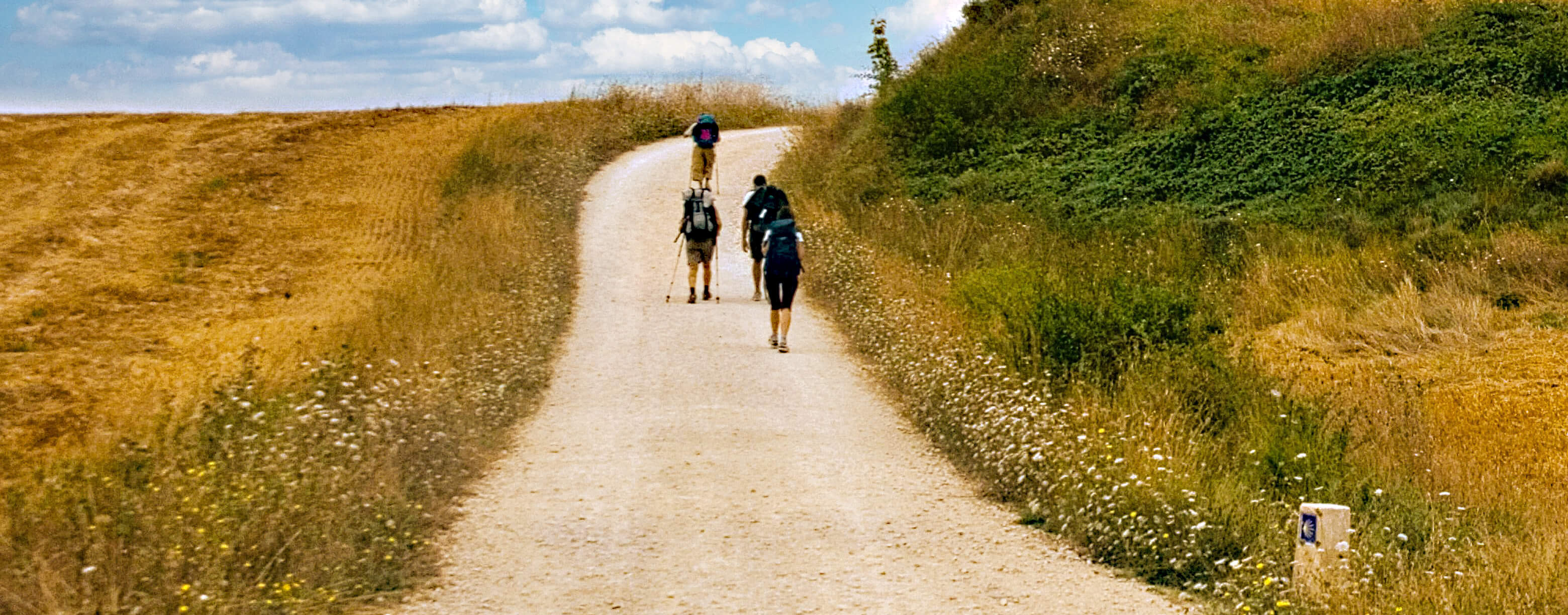 Trois pèlerins, équipés de sacs à dos et de bâtons de randonnée, s'éloignent sur un large chemin de terre à travers la campagne estivale. Le chemin est bordé d'herbes séchées dorées à gauche et d'une haute haie verte à droite. Un panneau indicateur du Camino, bleu et blanc, orné d'une coquille Saint-Jacques jaune, est visible au bord du chemin. Au-dessus d'eux, le ciel est d'un bleu éclatant, parsemé de nuages épars.