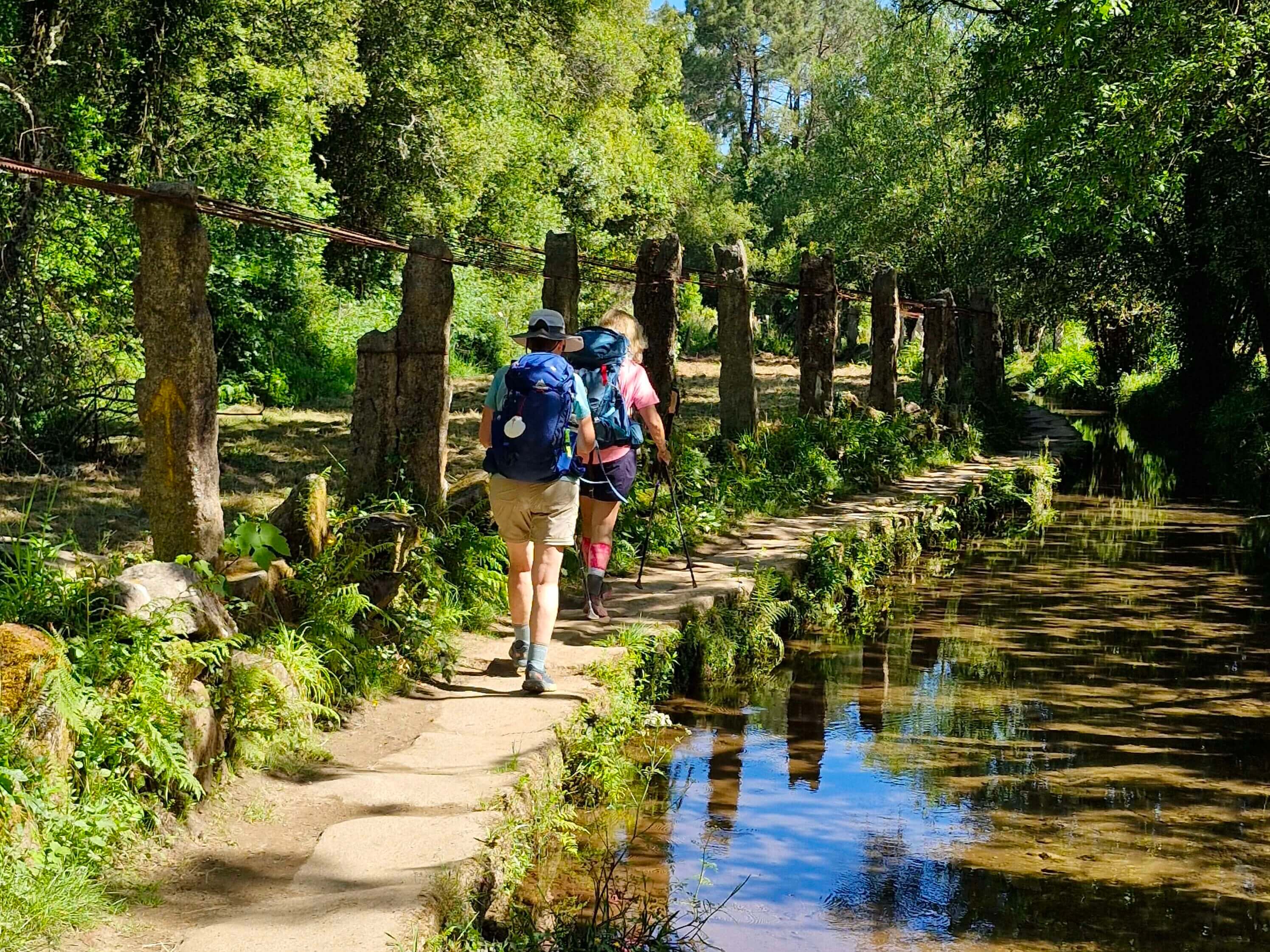 Camino Portuguese (Traditional Route) hikers walking on a path beside still clear stream shaded by trees
