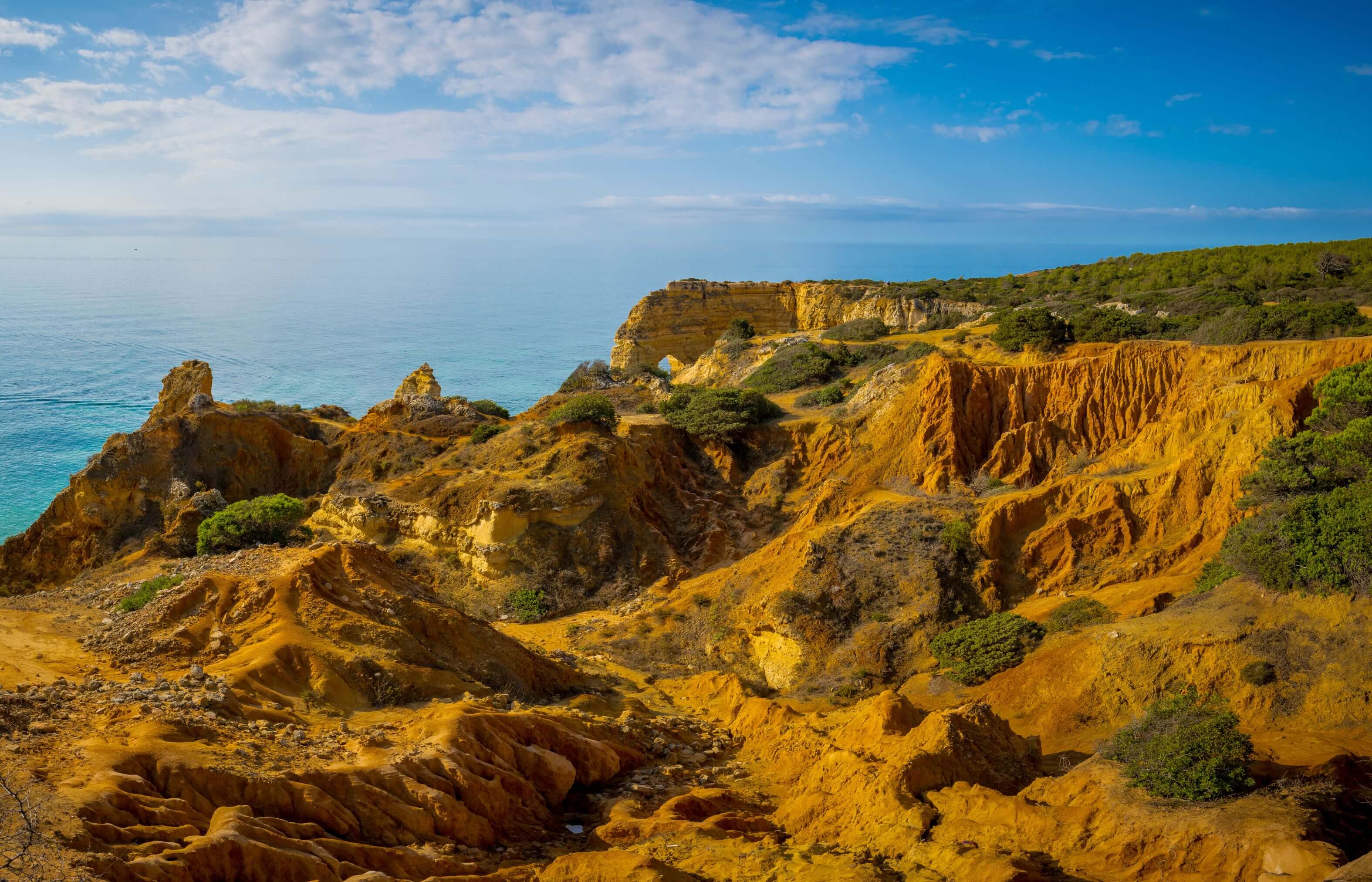 gsw seven hanging valleys trail coastline view