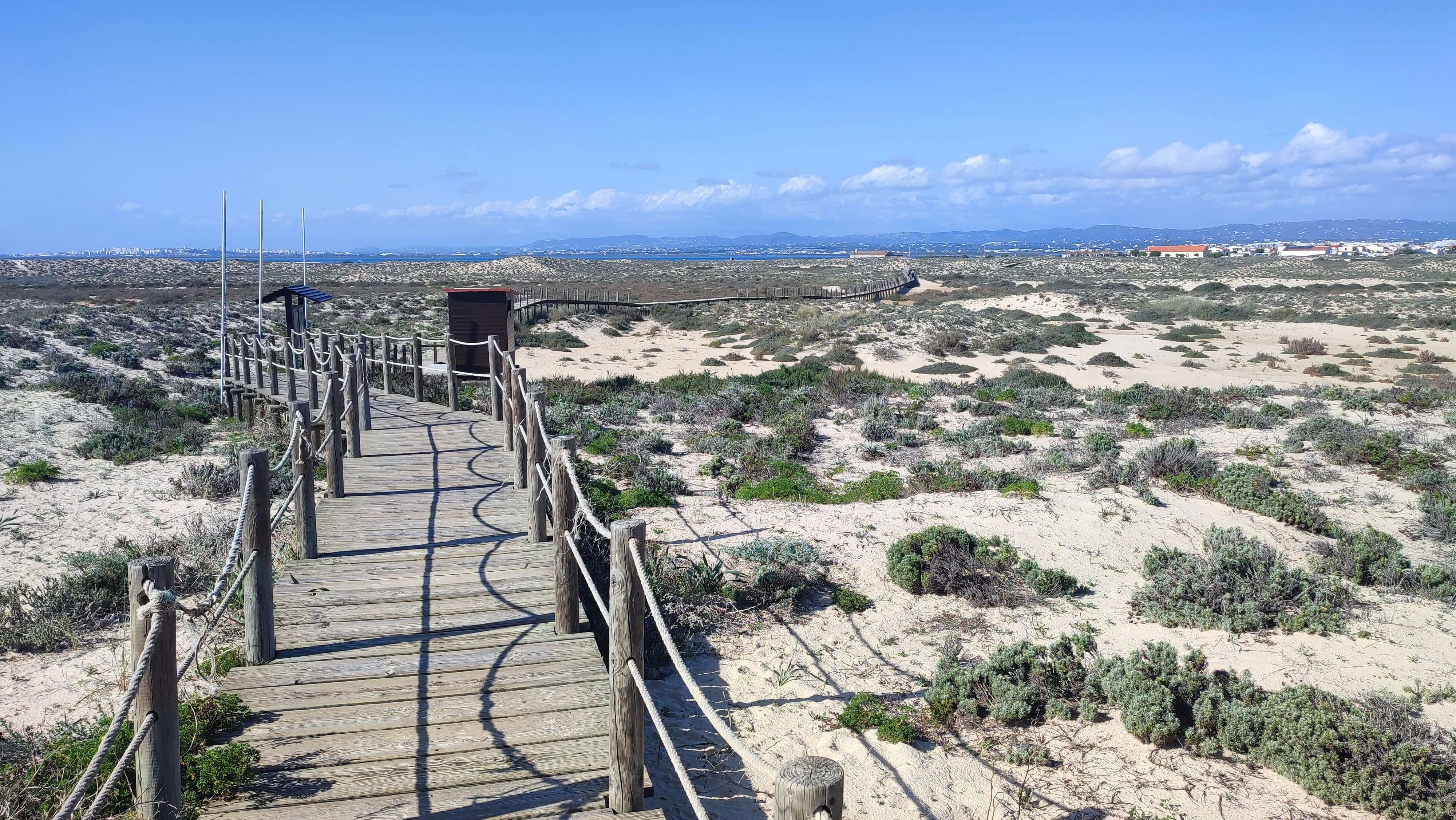  ilha da culatra wooden boardwalk across sands img 20250216 142202(1)