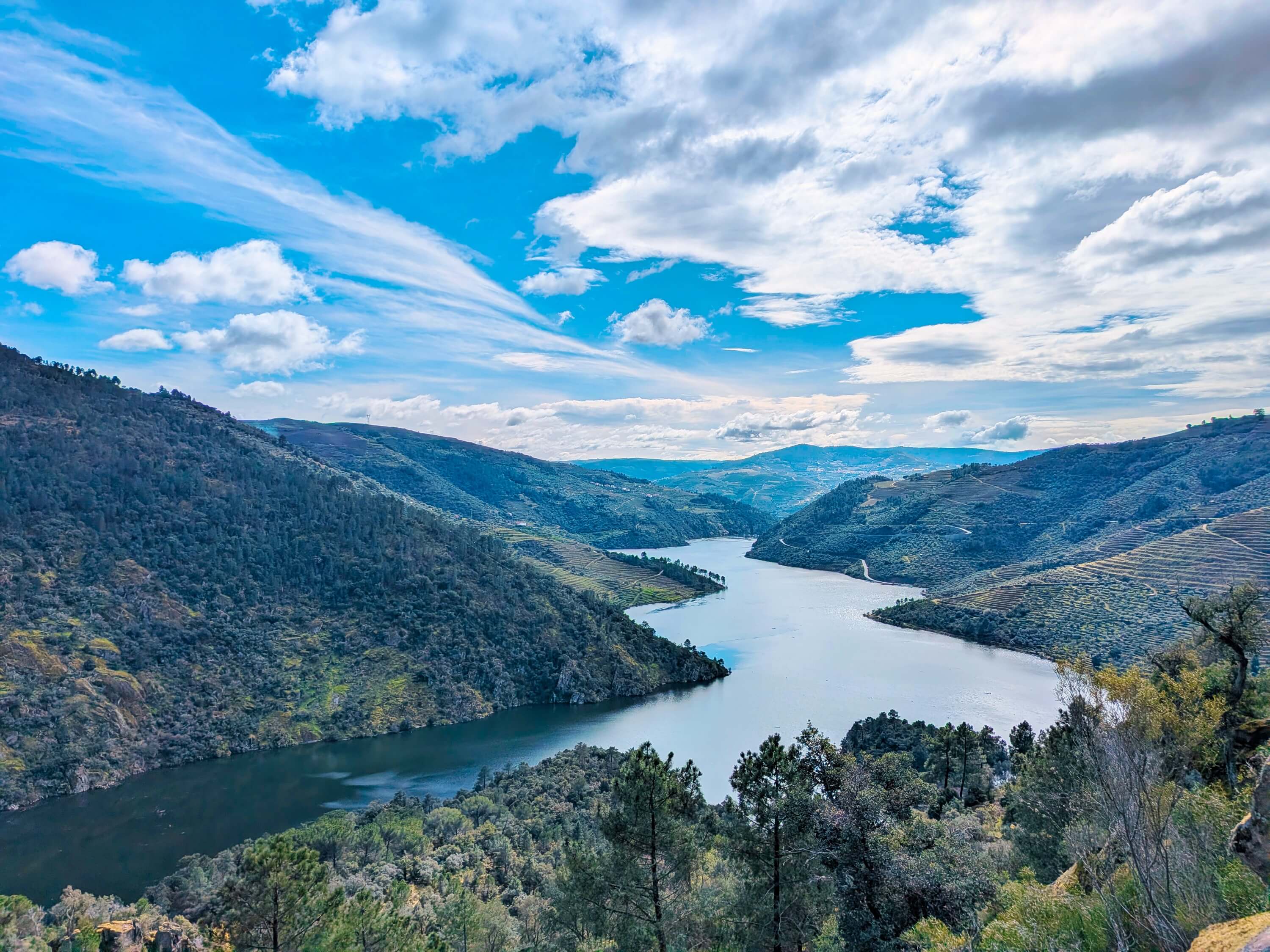 douro river wide shot forested sides vineyardspxl 20260306 131917927