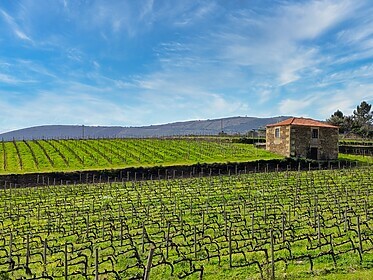 Porto & Douro Valley (Signature Trails)